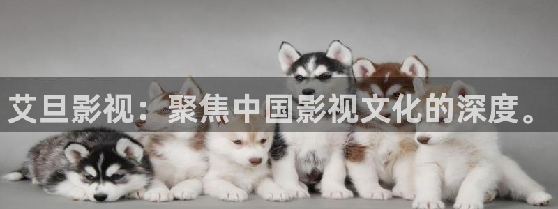 神马电影第六