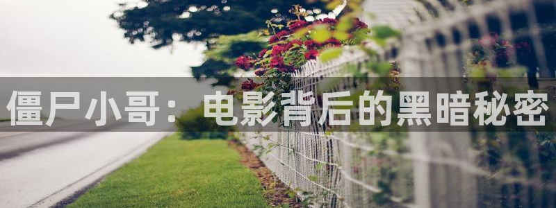 原来神马影院免费观看电视剧电影