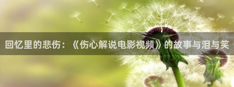 秋霞神马在线