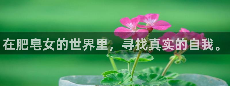 神马影院达达兔大地