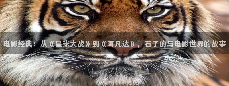 yy神马影院