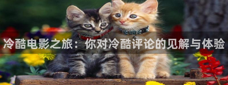 神马欧美伦理