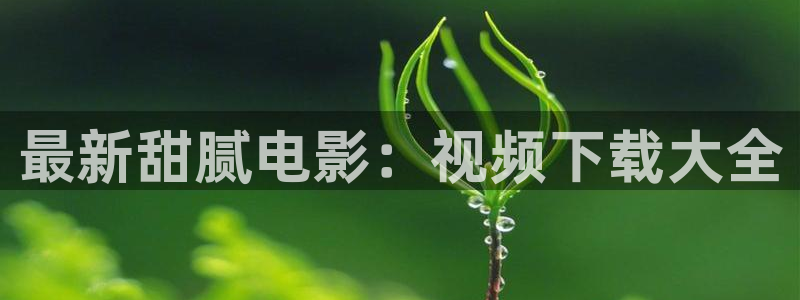 神马电影5678