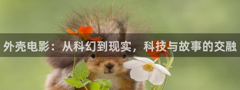 神马真心影院