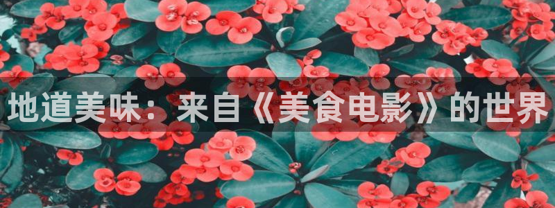 神马影院第九伦理