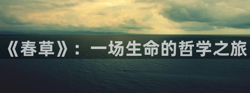 午夜神马在线观看视频