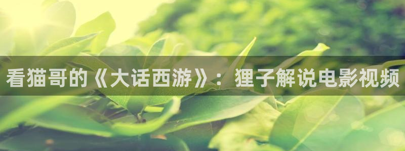 免费神马影视