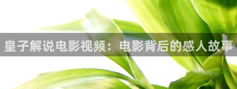 神马电影限制青青草