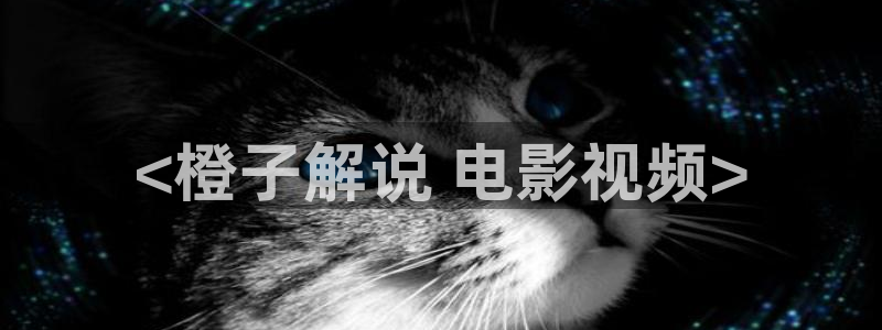 神马电影兔兔达