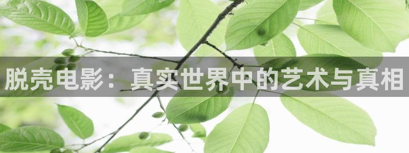 武则天艳史神马影院