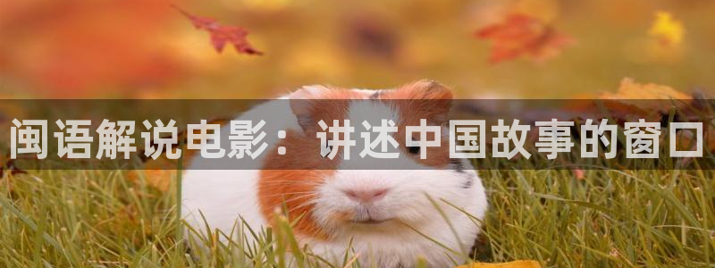 神马电影琪琪