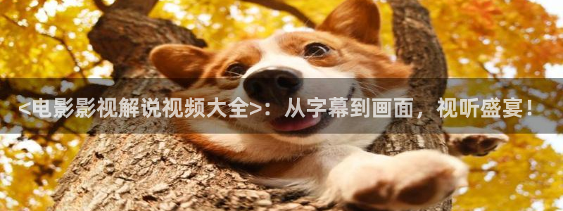 神马影视在线免费观看