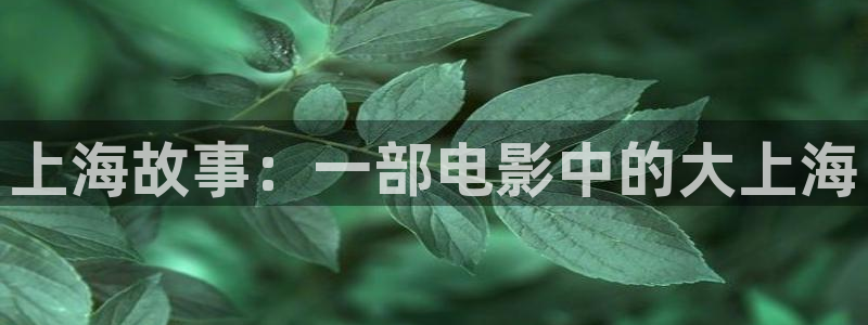 神马在线视频电影