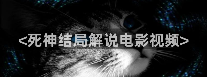 神马电影午夜理论片