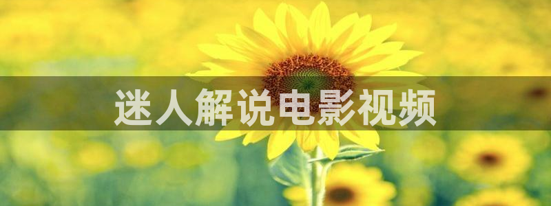 神马影院达达 兔
