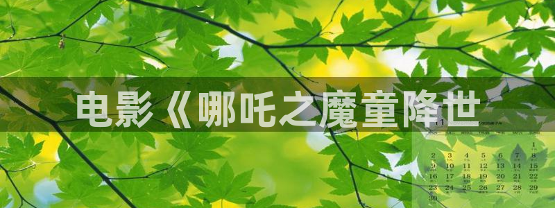 神马电影电影在线观看