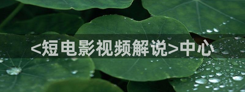 电影神马网