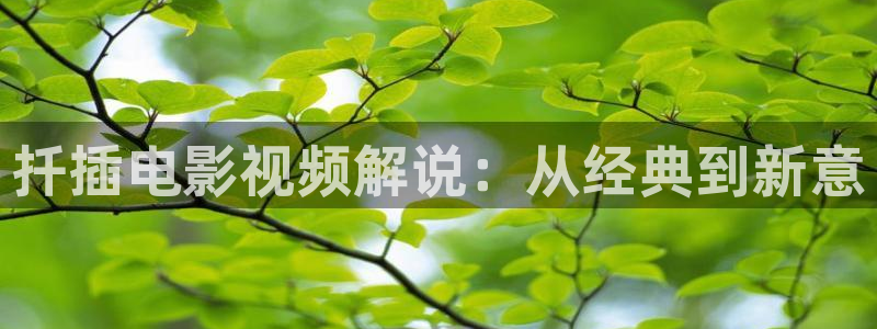 神马影院717电影网