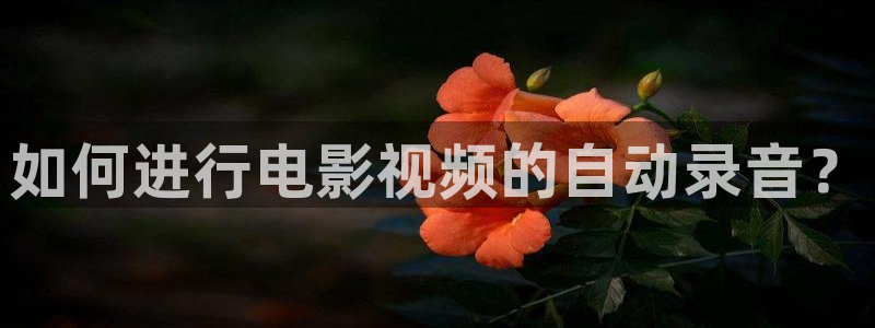 神马影院达达兔网
