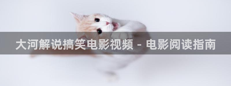 神马不卡视频在线观看