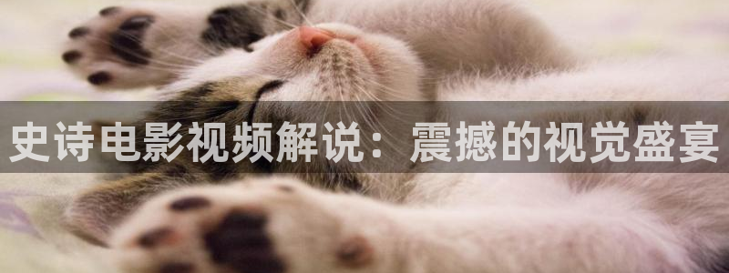 神马电影手机不卡理论：史诗电影视频解说：震撼的视觉盛宴