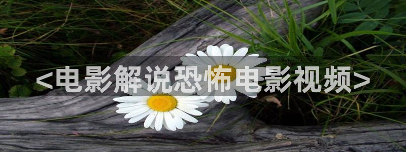 神马电影2024：<电影解说恐怖电影视频>