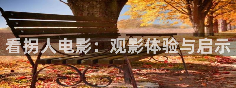 神马影院观看视频：看拐人电影：观影体验与启示