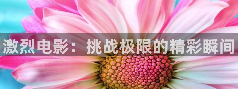 神马午夜在线电影