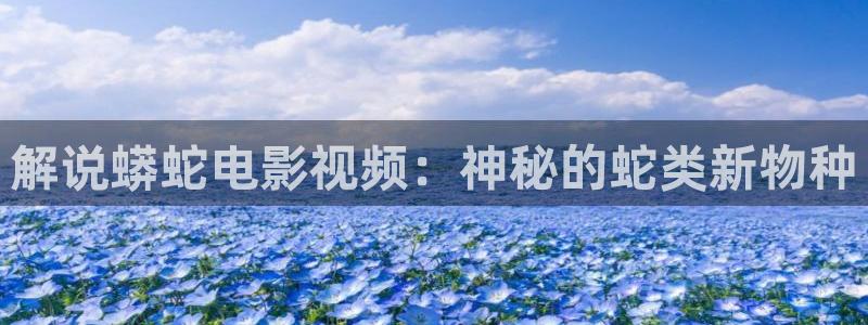 神马影院夜伦鲁鲁片