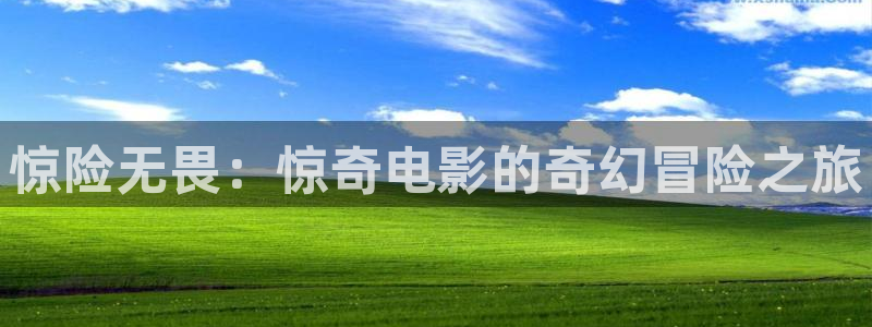 神马电影看看：惊险无畏：惊奇电影的奇幻冒险之旅