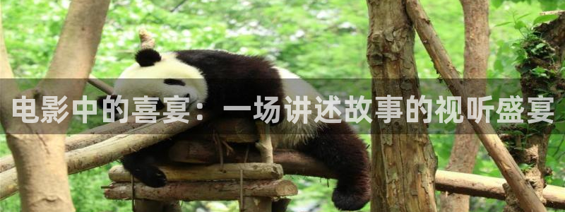 神马影院777：电影中的喜宴：一场讲述故事的视听盛宴