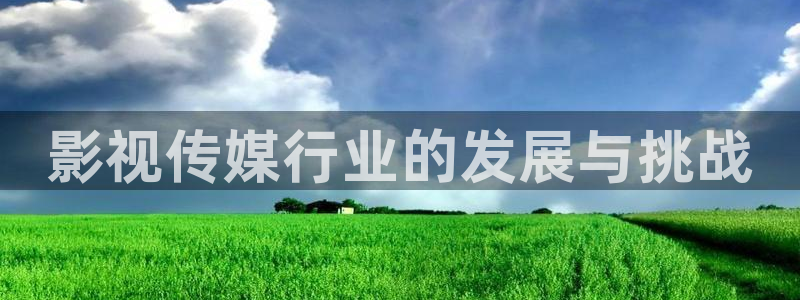 神马电影dd99：影视传媒行业的发展与挑战
