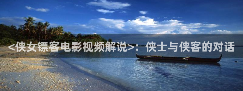 老师神马影院：<侠女镖客电影视频解说>：侠士与侠客的对话