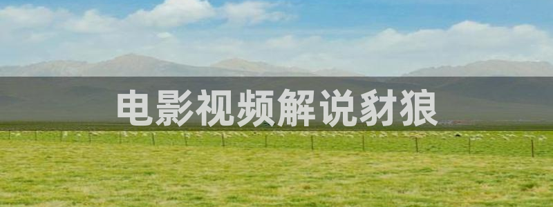 神马伦理一级：电影视频解说豺狼