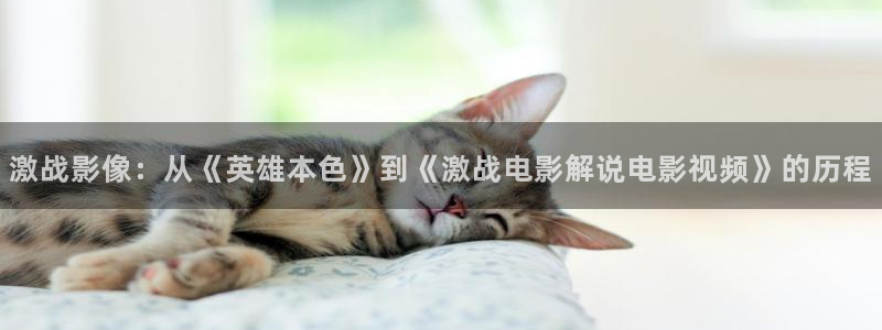 神马影视免费：激战影像：从《英雄本色》到《激战电影解说电影视频》的历程
