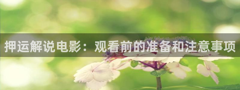 神马影院免费观看伦理：押运解说电影：观看前的准备和注意事项