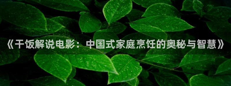 神马电影老子我不卡：《干饭解说电影：中国式家庭烹饪的奥秘与智慧》