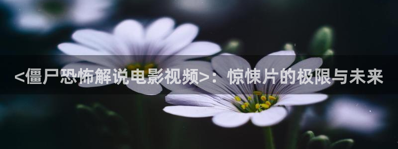 神马四兄弟电影全集：<僵尸恐怖解说电影视频>：惊悚片的极限与未来