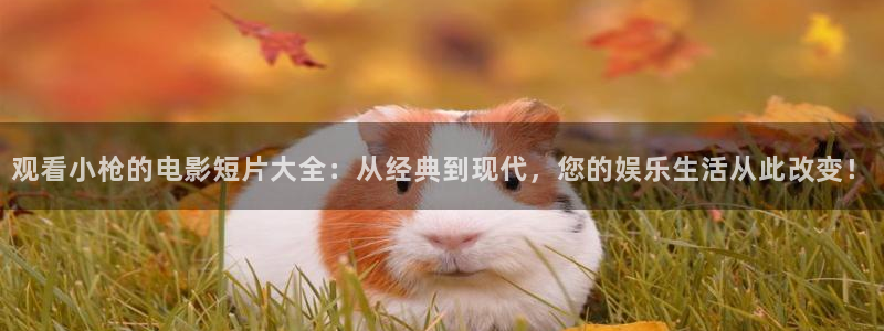 ok神马影院：观看小枪的电影短片大全：从经典到现代，您的娱乐生活从此改变！