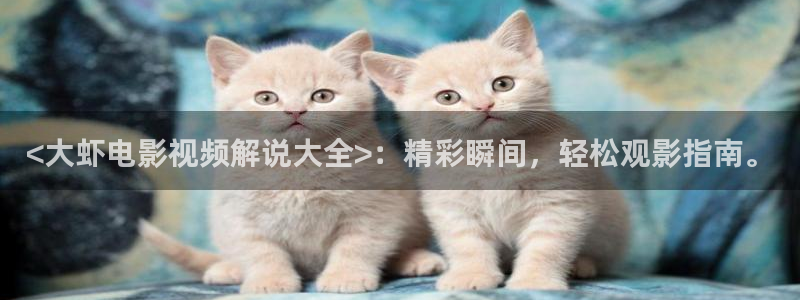 秋霞影院神马电影：<大虾电影视频解说大全>：精彩瞬间，轻松观影指南。