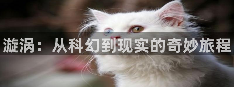 神马影院第九场：漩涡：从科幻到现实的奇妙旅程
