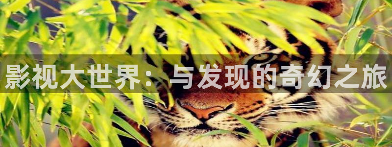 八戒八戒神马影院手机在线：影视大世界：与发现的奇幻之旅