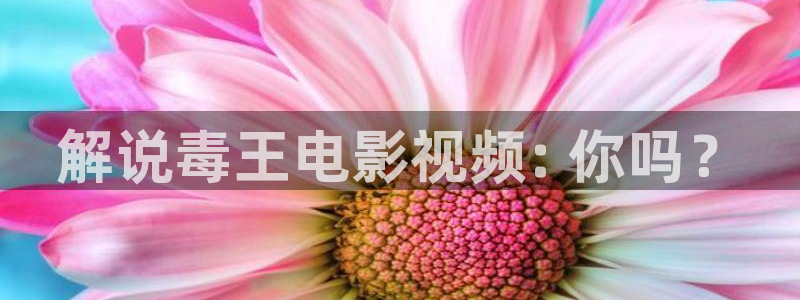 寄宿公寓神马影院在线观看：解说毒王电影视频: 你吗？