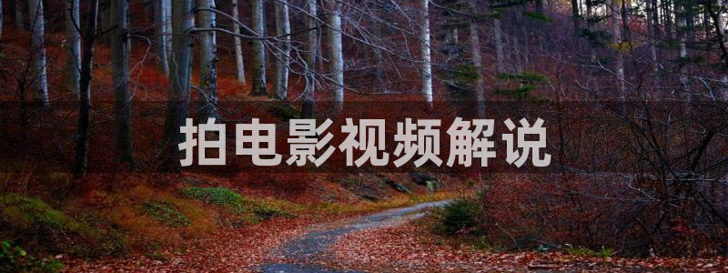 年轻的母亲3神马电影：拍电影视频解说