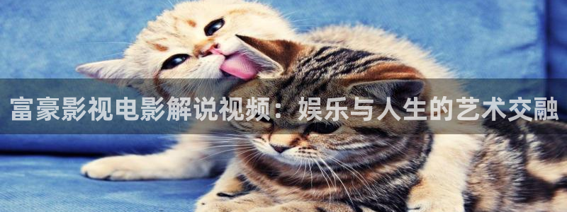 神马影院手机免费：富豪影视电影解说视频：娱乐与人生的艺术交融