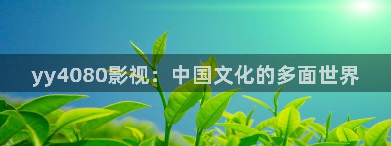 神马影院保护特雷斯：yy4080影视：中国文化的多面世界