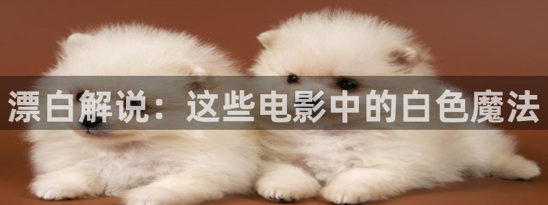 神马伦理美国：漂白解说：这些电影中的白色魔法